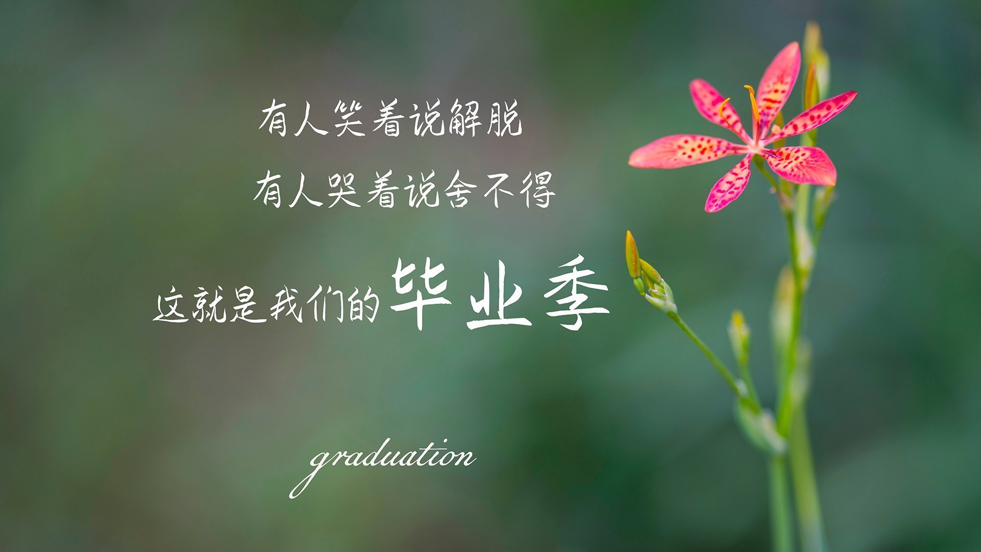 速度与荣耀,亚特兰大在F1街道赛焦点战中淘汰尼日利亚