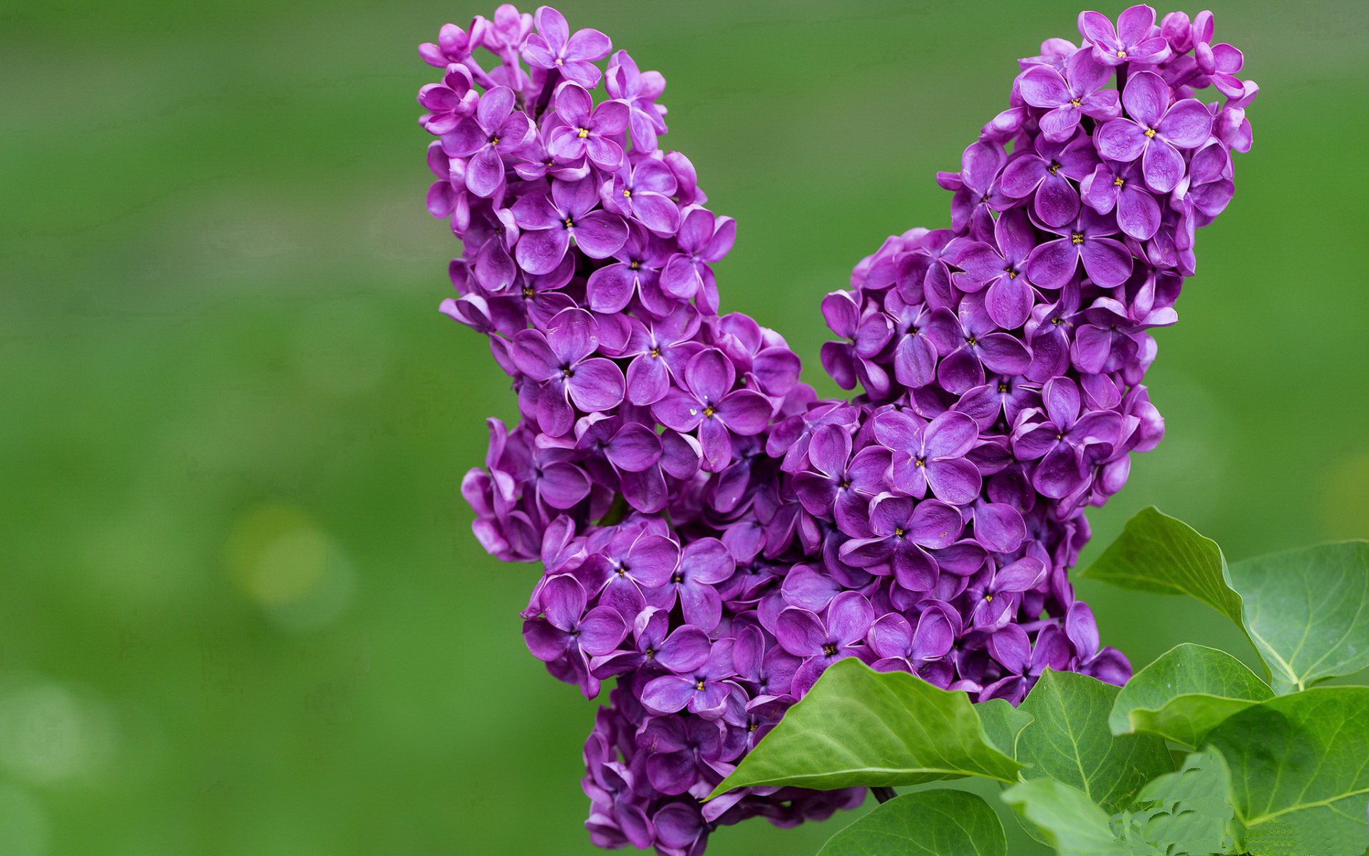 命运的加时赛,当篮球场上演摩洛哥终章,足球西决书写日本神话